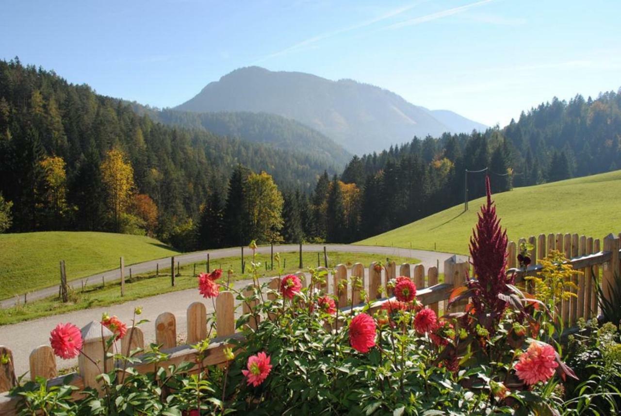 Villa Familienbauernhof Glockriegl Lunz am See Esterno foto